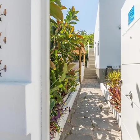 Fantastico 2 Puerto de la Cruz (Tenerife)